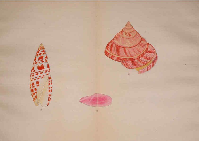 Reproducción/Reproduction 6059264491: Kaisenshu. v.1. Kyoto :Yamada Naozoburo,1914-1915