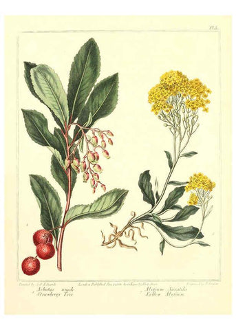 Reproducción/Reproduction 6092286917: The new botanic garden London,J. Stockdale,1812