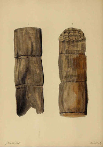 Reproducción/Reproduction 6076950183: A pictorial atlas of fossil remains London :H.G. Bohn,1850
