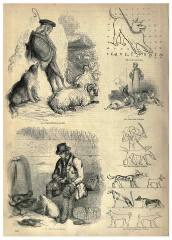 Reproducción/Reproduction 6093029604: The pictorial museum of animated nature. v.1. London :C. Cox,[1844?] 