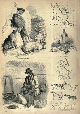 Reproducción/Reproduction 6093029604: The pictorial museum of animated nature. v.1. London :C. Cox,[1844?] 