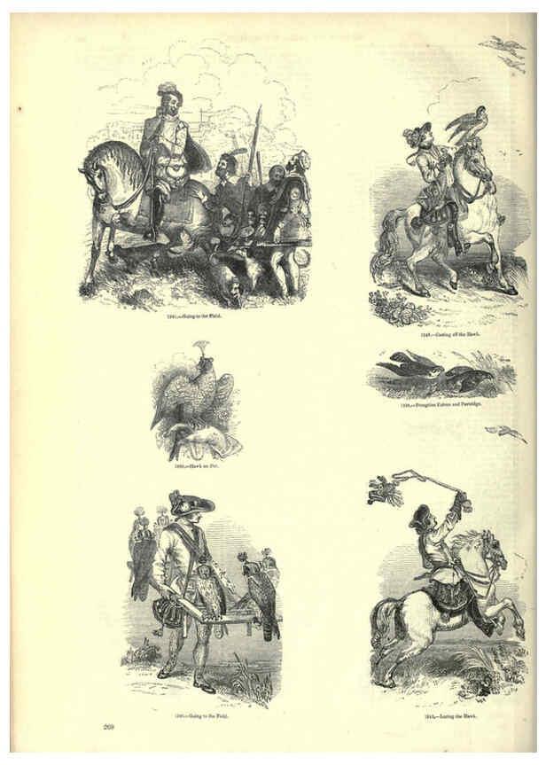 Reproducción/Reproduction 6092499681: The pictorial museum of animated nature. v.1. London :C. Cox,[1844?] 