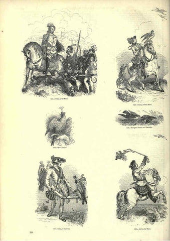 Reproducción/Reproduction 6092499681: The pictorial museum of animated nature. v.1. London :C. Cox,[1844?] 