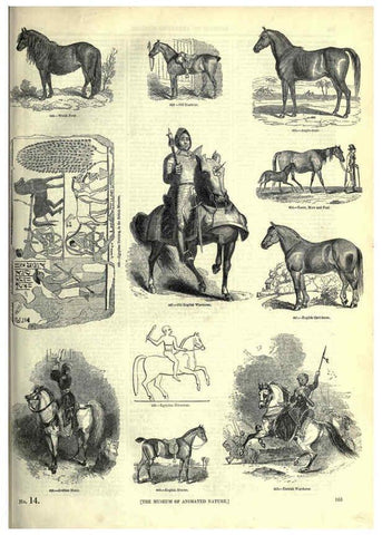 Reproducción/Reproduction 6092476197: The pictorial museum of animated nature. v.1. London :C. Cox,[1844?] 