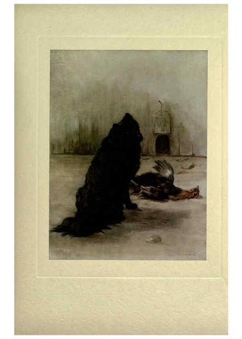 Reproducción/Reproduction 6073372545: The power of the dog London :Hodder and Stoughton,[1910 or 1911.] 