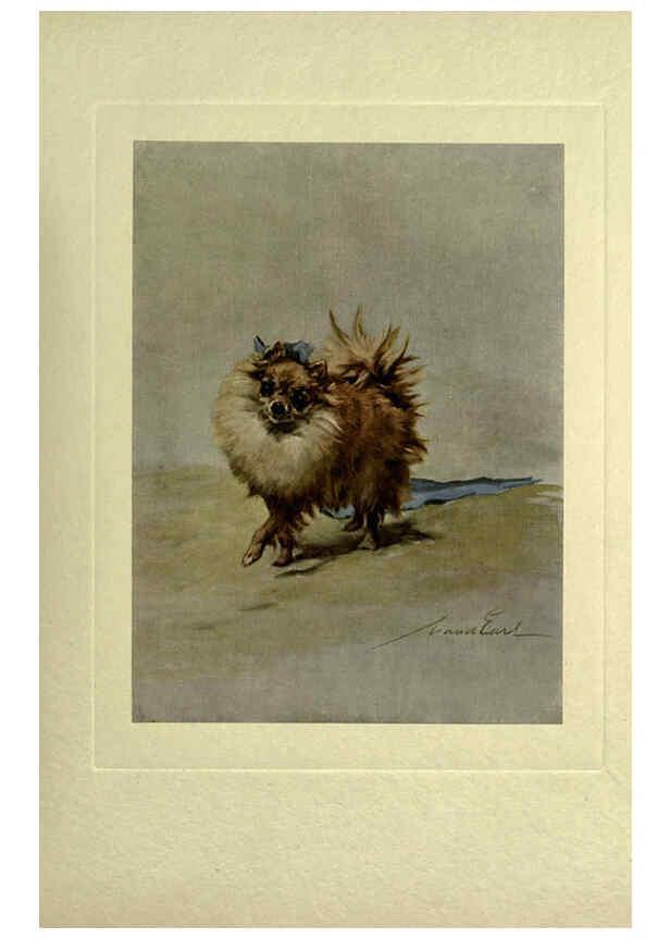 Reproducción/Reproduction 6073372919: The power of the dog London :Hodder and Stoughton,[1910 or 1911.] 