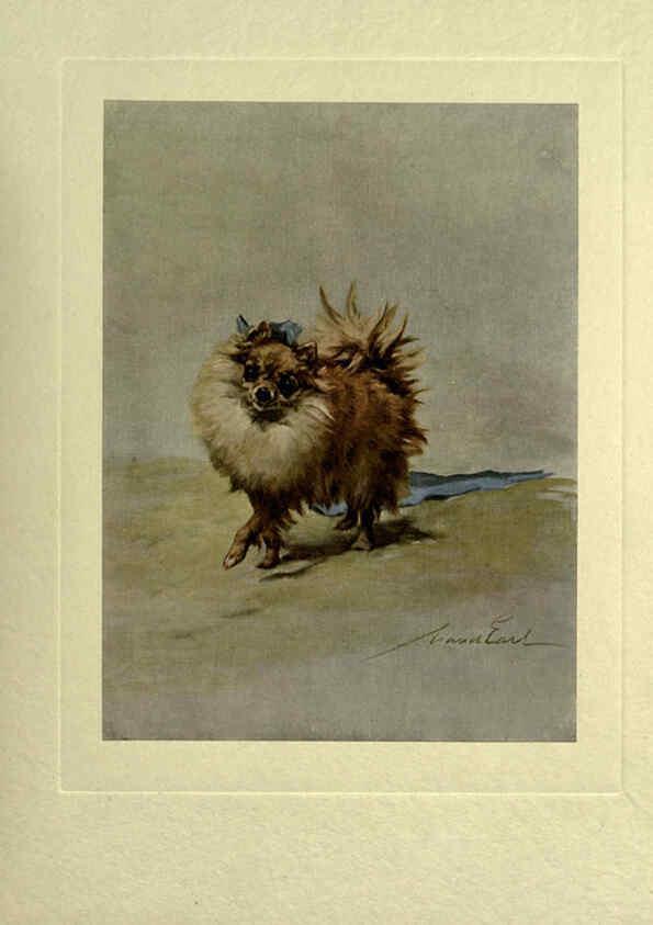 Reproducción/Reproduction 6073372919: The power of the dog London :Hodder and Stoughton,[1910 or 1911.] 