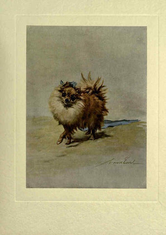 Reproducción/Reproduction 6073372919: The power of the dog London :Hodder and Stoughton,[1910 or 1911.] 