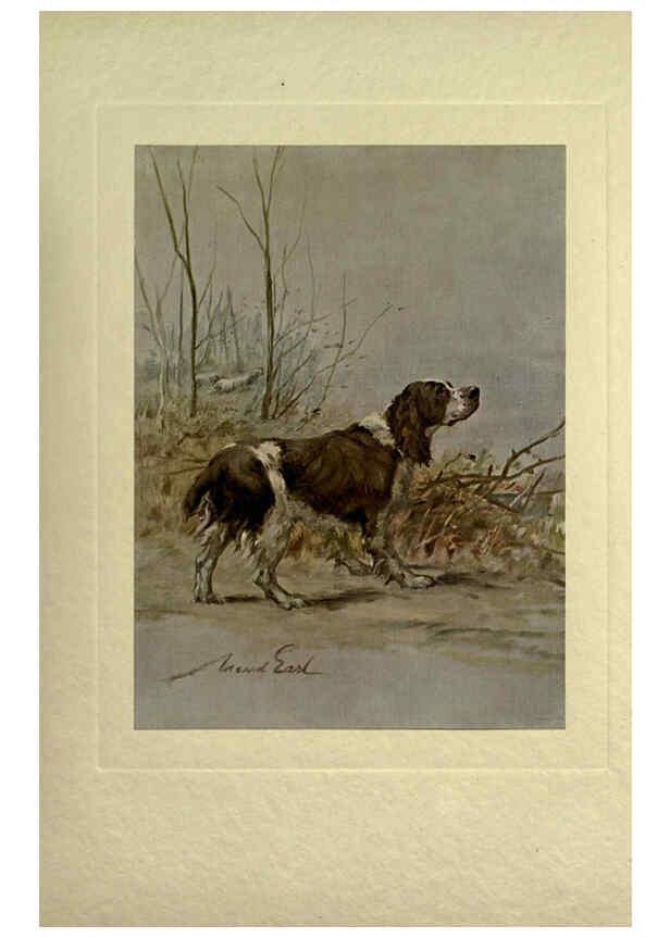 Reproducción/Reproduction 6073914232: The power of the dog London :Hodder and Stoughton,[1910 or 1911.] 