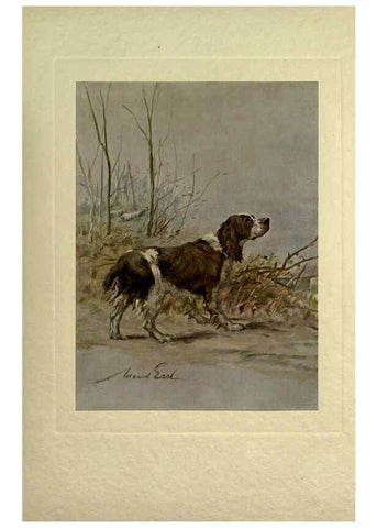 Reproducción/Reproduction 6073914232: The power of the dog London :Hodder and Stoughton,[1910 or 1911.] 