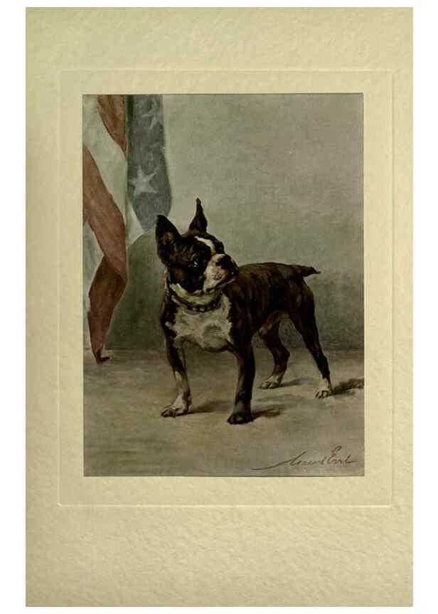 Reproducción/Reproduction 6073373653: The power of the dog London :Hodder and Stoughton,[1910 or 1911.] 