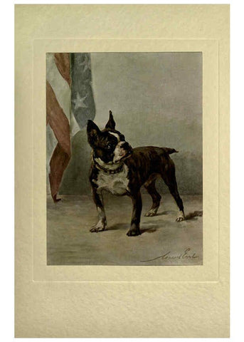 Reproducción/Reproduction 6073373653: The power of the dog London :Hodder and Stoughton,[1910 or 1911.] 