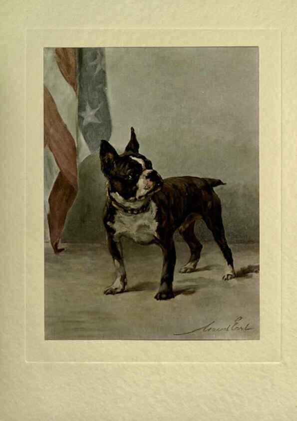 Reproducción/Reproduction 6073373653: The power of the dog London :Hodder and Stoughton,[1910 or 1911.] 