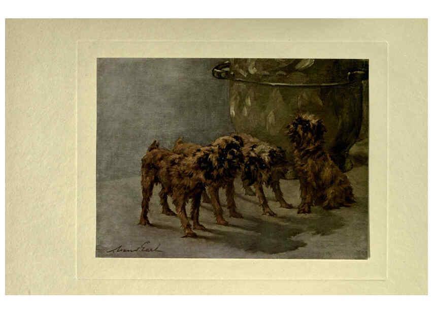 Reproducción/Reproduction 6073915014: The power of the dog London :Hodder and Stoughton,[1910 or 1911.] 