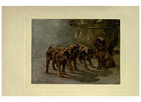 Reproducción/Reproduction 6073915014: The power of the dog London :Hodder and Stoughton,[1910 or 1911.] 