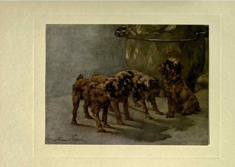 Reproducción/Reproduction 6073915014: The power of the dog London :Hodder and Stoughton,[1910 or 1911.] 