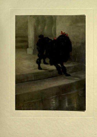 Reproducción/Reproduction 6073915294: The power of the dog London :Hodder and Stoughton,[1910 or 1911.] 