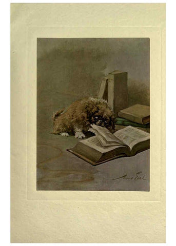 Reproducción/Reproduction 6073915686: The power of the dog London :Hodder and Stoughton,[1910 or 1911.] 