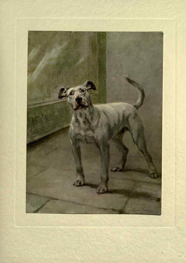 Reproducción/Reproduction 6073913150: The power of the dog London :Hodder and Stoughton,[1910 or 1911.] 