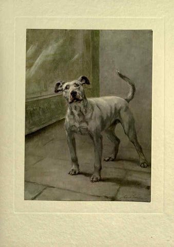 Reproducción/Reproduction 6073913150: The power of the dog London :Hodder and Stoughton,[1910 or 1911.] 