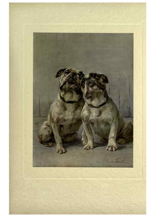 Reproducción/Reproduction 6073372049: The power of the dog London :Hodder and Stoughton,[1910 or 1911.] 