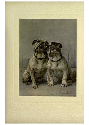 Reproducción/Reproduction 6073372049: The power of the dog London :Hodder and Stoughton,[1910 or 1911.] 