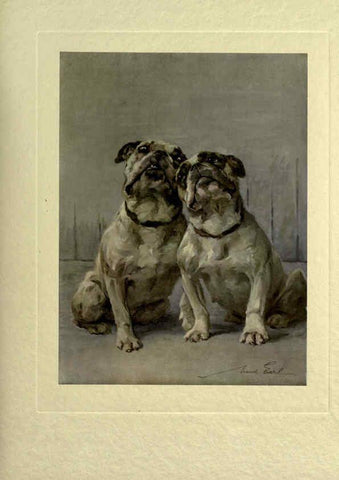 Reproducción/Reproduction 6073372049: The power of the dog London :Hodder and Stoughton,[1910 or 1911.] 