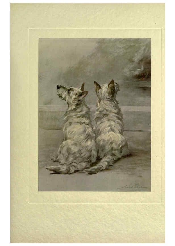 Reproducción/Reproduction 6073371669: The power of the dog London :Hodder and Stoughton,[1910 or 1911.] 