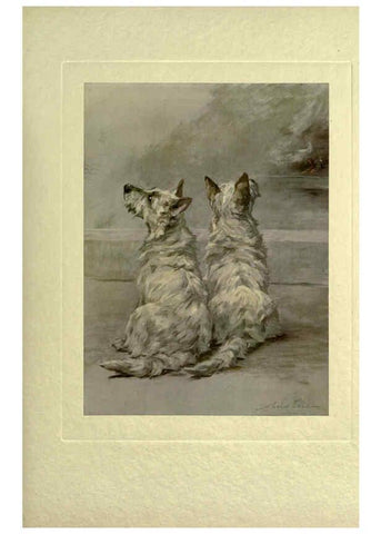 Reproducción/Reproduction 6073371669: The power of the dog London :Hodder and Stoughton,[1910 or 1911.] 