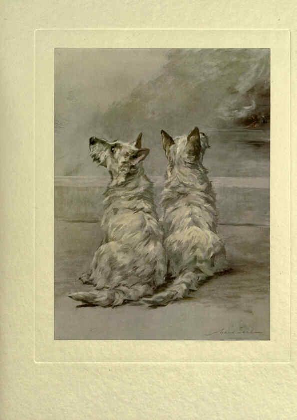 Reproducción/Reproduction 6073371669: The power of the dog London :Hodder and Stoughton,[1910 or 1911.] 