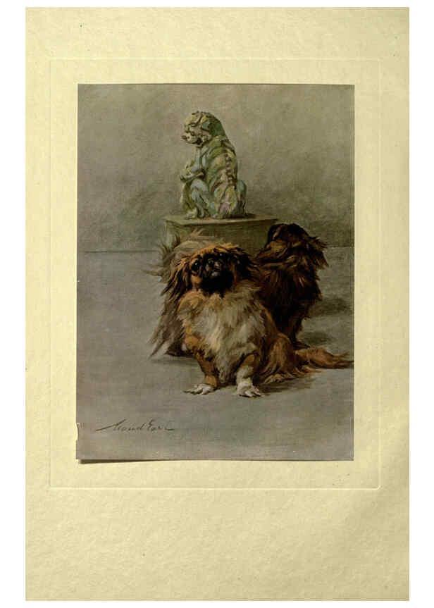 Reproducción/Reproduction 6073909074: The power of the dog London :Hodder and Stoughton,[1910 or 1911.] 