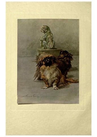 Reproducción/Reproduction 6073909074: The power of the dog London :Hodder and Stoughton,[1910 or 1911.] 