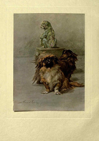 Reproducción/Reproduction 6073909074: The power of the dog London :Hodder and Stoughton,[1910 or 1911.] 