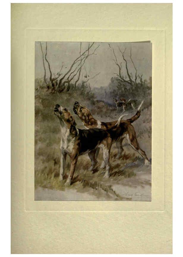 Reproducción/Reproduction 6073909372: The power of the dog London :Hodder and Stoughton,[1910 or 1911.] 