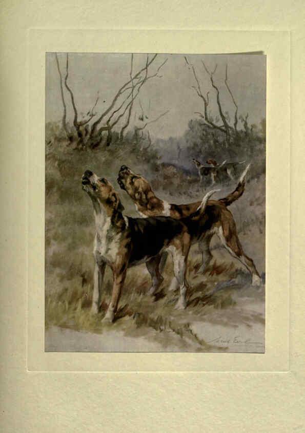 Reproducción/Reproduction 6073909372: The power of the dog London :Hodder and Stoughton,[1910 or 1911.] 