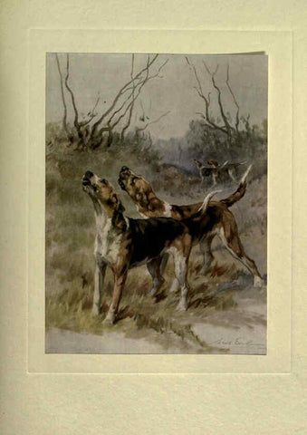 Reproducción/Reproduction 6073909372: The power of the dog London :Hodder and Stoughton,[1910 or 1911.] 