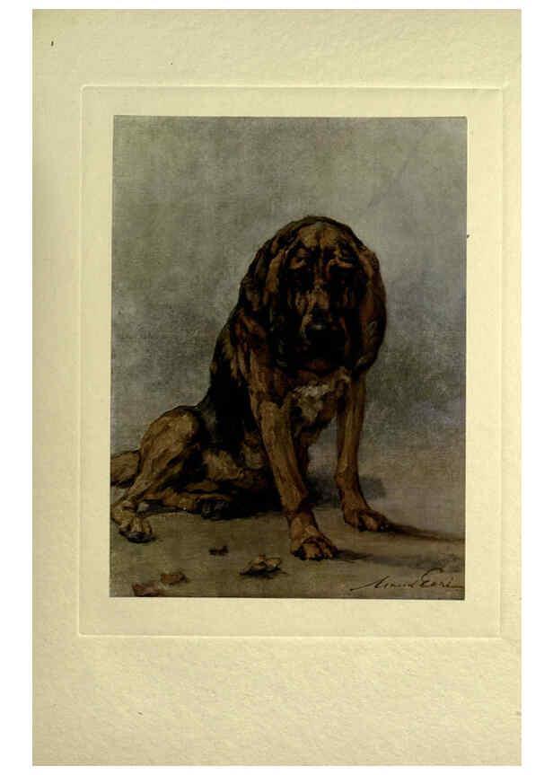 Reproducción/Reproduction 6073909666: The power of the dog London :Hodder and Stoughton,[1910 or 1911.] 