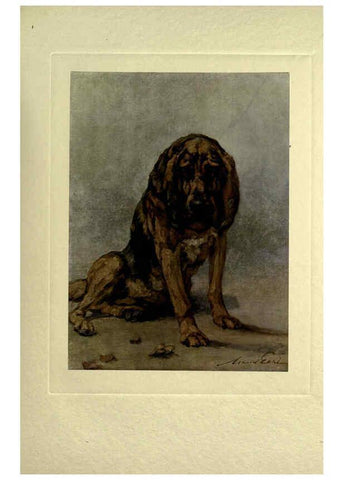 Reproducción/Reproduction 6073909666: The power of the dog London :Hodder and Stoughton,[1910 or 1911.] 