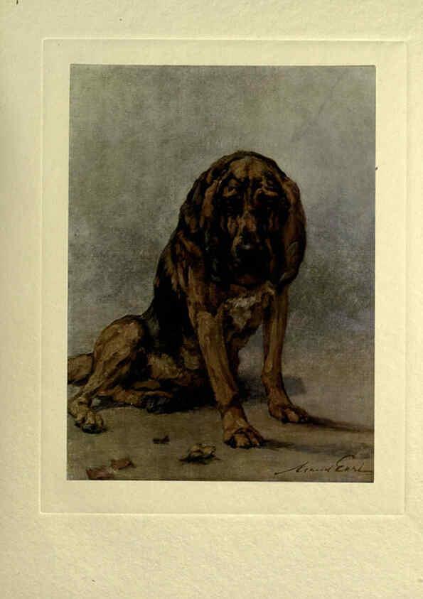 Reproducción/Reproduction 6073909666: The power of the dog London :Hodder and Stoughton,[1910 or 1911.] 