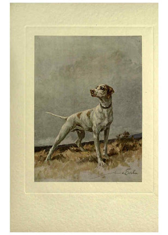 Reproducción/Reproduction 6073369349: The power of the dog London :Hodder and Stoughton,[1910 or 1911.] 