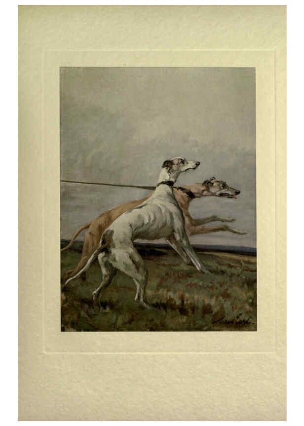 Reproducción/Reproduction 6073369737: The power of the dog London :Hodder and Stoughton,[1910 or 1911.] 