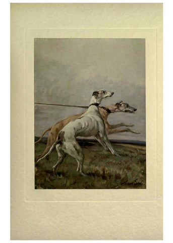 Reproducción/Reproduction 6073369737: The power of the dog London :Hodder and Stoughton,[1910 or 1911.] 