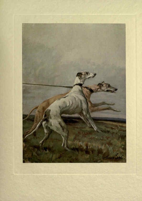Reproducción/Reproduction 6073369737: The power of the dog London :Hodder and Stoughton,[1910 or 1911.] 