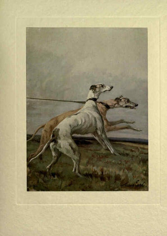 Reproducción/Reproduction 6073369737: The power of the dog London :Hodder and Stoughton,[1910 or 1911.] 