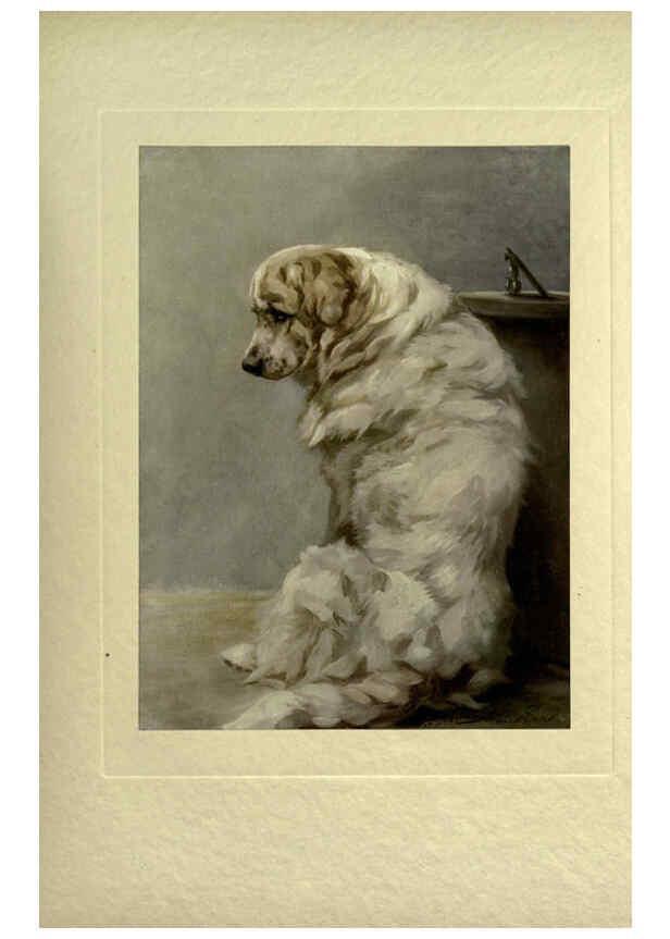Reproducción/Reproduction 6073910974: The power of the dog London :Hodder and Stoughton,[1910 or 1911.] 