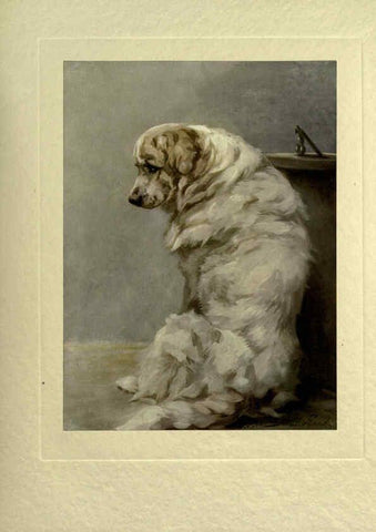 Reproducción/Reproduction 6073910974: The power of the dog London :Hodder and Stoughton,[1910 or 1911.] 