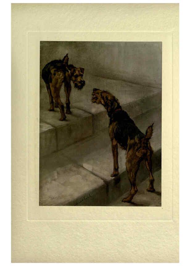 Reproducción/Reproduction 6073911326: The power of the dog London :Hodder and Stoughton,[1910 or 1911.] 