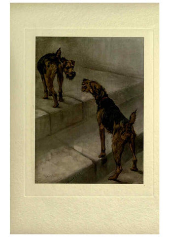 Reproducción/Reproduction 6073911326: The power of the dog London :Hodder and Stoughton,[1910 or 1911.] 