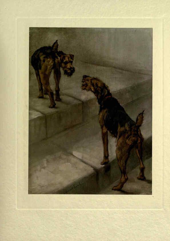 Reproducción/Reproduction 6073911326: The power of the dog London :Hodder and Stoughton,[1910 or 1911.] 