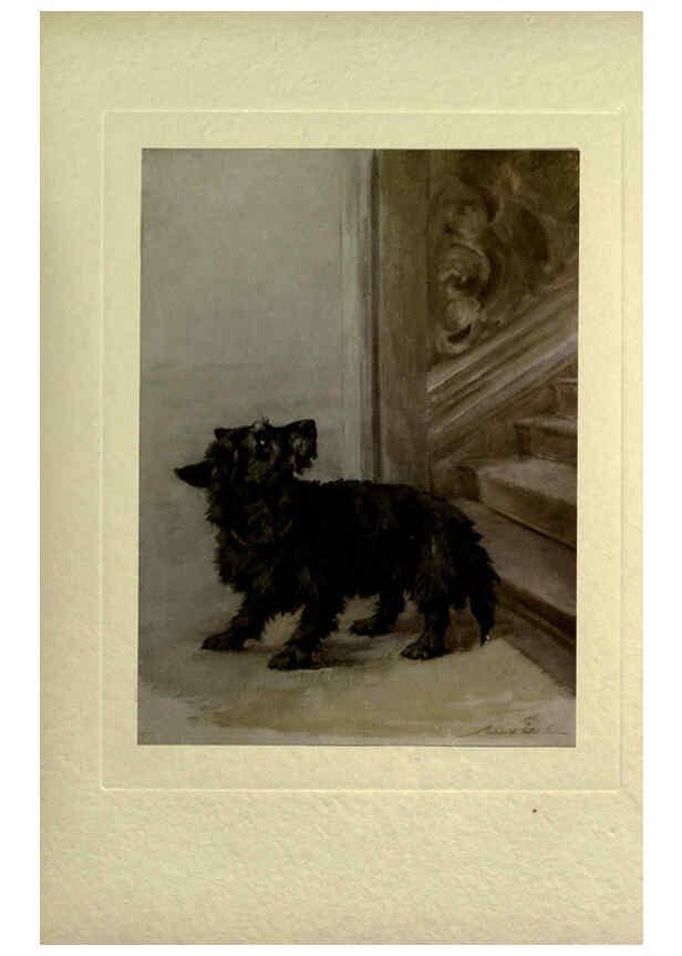 Reproducción/Reproduction 6073911602: The power of the dog London :Hodder and Stoughton,[1910 or 1911.] 